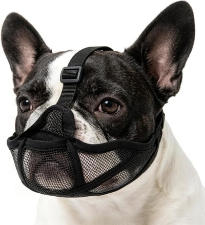 Ademende Hondenmuilkorf voor Franse Bulldog, Verstelbaar en Comfortabel, Anti-Eten en Bijten, Ideaal voor Korte Snuiten, Zwart Maat S