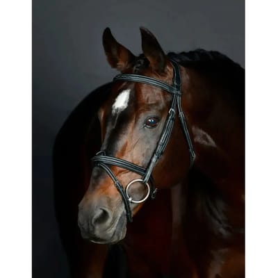 Gewatteerde hanoverse zadelsportteugel Collegiate Comfitec Opulux Fancy Stitch