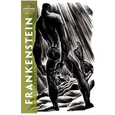 Frankenstein - Shelley, Mary