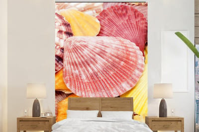 Behang - Fotobehang Schelpen - Rood - Geel - Strand - Zomer - Breedte 180 cm x hoogte 280 cm