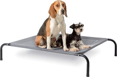 Verhoogd Hondenbed voor Kleine Honden - Grijs, Geschikt voor Binnen en Buiten, Camping - Maat S: 87 x 63 cm, Hoogte: 20 cm