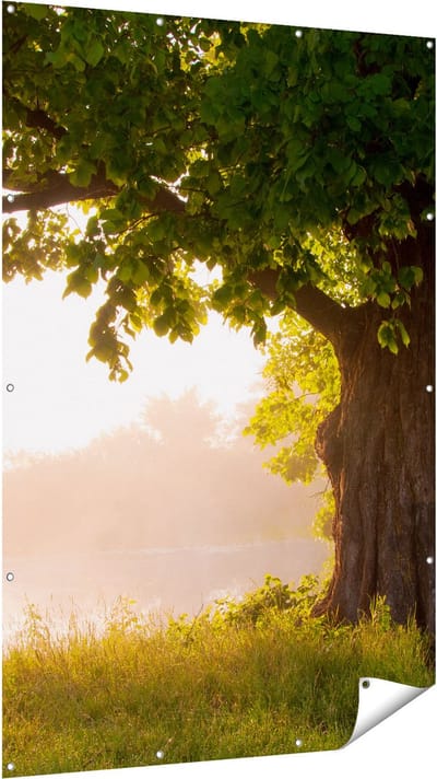 Gards Tuinposter Eikenboom aan het Water met Volle Bladeren - 120x180 cm - Tuindoek - Tuindecoratie - Wanddecoratie buiten - Tuinschilderij