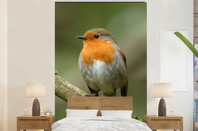 Behang - Fotobehang Vogel - Roodborstje - Tak - Planten - Breedte 160 cm x hoogte 240 cm