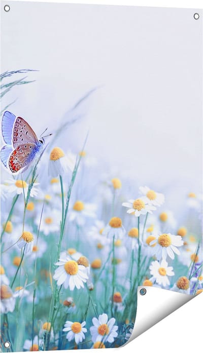 Gards Tuinposter Witte Kamille Bloemen met een Vlinder - 60x90 cm - Tuindoek - Tuindecoratie - Wanddecoratie buiten - Tuinschilderij