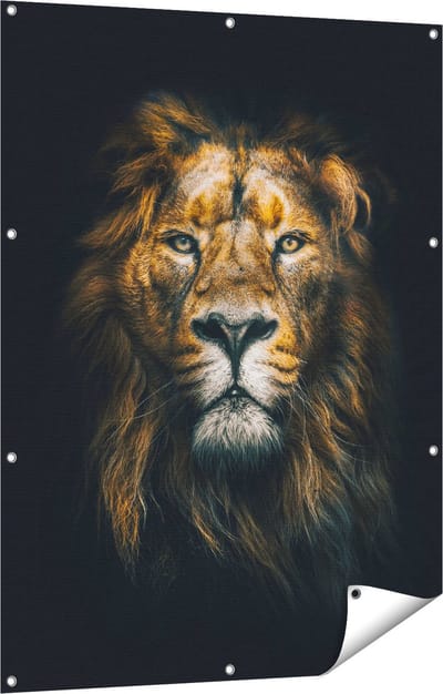 Gards Tuinposter Leeuw - Leeuwenkop - Kleur - 90x120 cm - Tuindoek - Tuindecoratie - Wanddecoratie buiten - Tuinschilderij