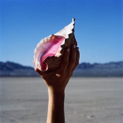 Wonderful Wonderful -Gatefold- - The Killers