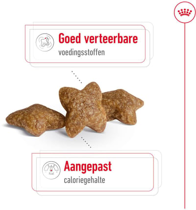 Royal Canin Mini Adult + Royal Canin Mini Adult Wet Combi - Hondenvoer - 8kg + 12x195g