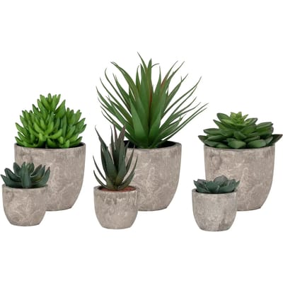 Bloemen House Nordic Spello (x150)