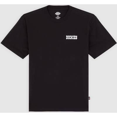 Dickies T-shirt - PLAIN CITY TEE - S tot L - voor Mannen - zwart
