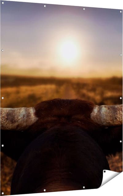 Gards Tuinposter Stierenhoorns bij Zonsondergang - 120x160 cm - Tuindoek - Tuindecoratie - Wanddecoratie buiten - Tuinschilderij