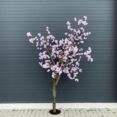 Seta Fiori - Kunst bloesemboom - Kunstboom - roze - 220cm - Voor binnen - Sakura