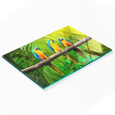 Duurzame en stijlvolle glazen snijplank met papegaaientakkenpatroon, 80x52 cm