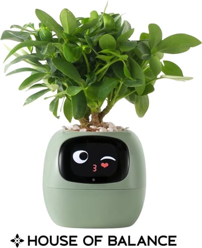 House of Balance Smart AI Bloempot - Planten pot - Bloem pot - Bloempot voor binnen - Intelligente Bloempot - Uniek Cadeau - Groen