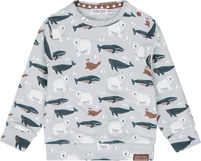 Dirkje Q- Boys arctic Jongens Trui - Maat 62