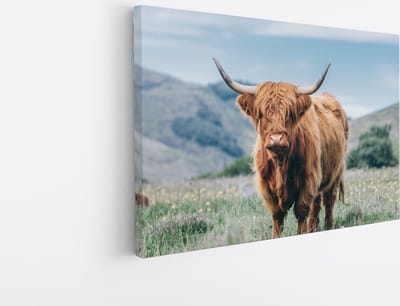 Saammp Canvas Schilderij - Schotse Hooglander Koe - Bloesem - Landschap - Dieren - Natuur - 45x30 - Foto op canvas - Wanddecoratie - muurdecoratie Woonkamer - Slaapkamer decoratie - Canvas Print