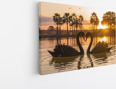 Saammp Canvas Schilderij - 2 Jonge Zwanen in zonsondergang - Natuur - Dieren - 45x30 - Foto op canvas - Wanddecoratie - Muurdecoratie Woonkamer - Slaapkamer decoratie - Canvas Print
