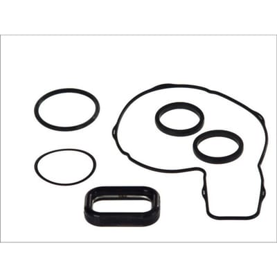 Pakking, waterpomp DT Spare Parts 2.91541