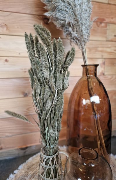 Bundel Gedroogde Pampas Goudkleurig - 80 cm - Gold - Goud - Pampasgras – Pampas Pluimen - Droog Boeket - Natural