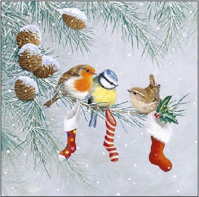 Ambiente Servetten Christmas Socks 25cm 20 stuks