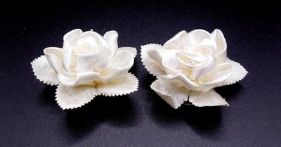 Curlies bloem crèmekleur met getande bladeren