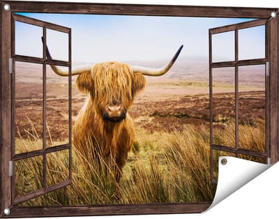 Gards Tuinposter Doorkijk Schotse Hooglander Koe in het Veld - 90x60 cm - Tuindoek - Tuindecoratie - Wanddecoratie buiten - Tuinschilderij