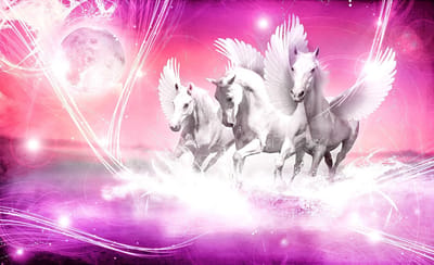 Poster | Roze | 104 x 70,5 cm