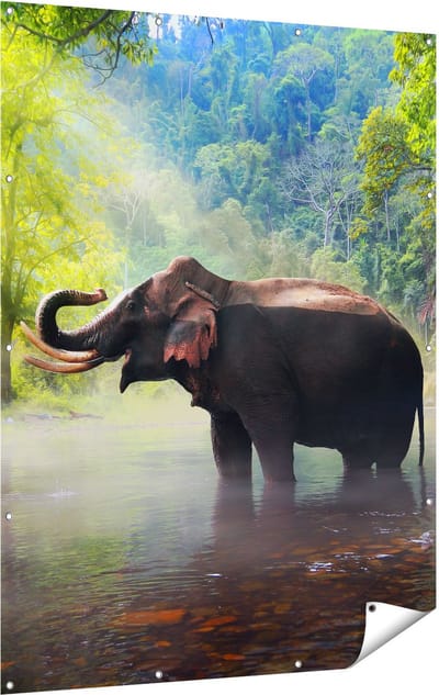Gards Tuinposter Olifant in het Water - 120x160 cm - Tuindoek - Tuindecoratie - Wanddecoratie buiten - Tuinschilderij
