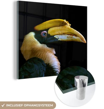 MuchoWow® Glasschilderij 90x90 cm - Schilderij acrylglas - Vogel - Snavel - Zwart - Foto op glas - Schilderijen