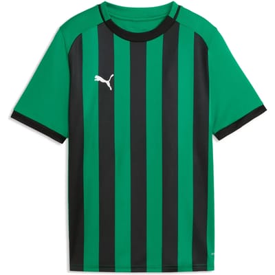 Kindertrui Puma TeamLiga26 Stripped