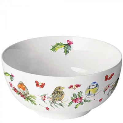 Ambiente-kom-schaaltje-porselein-fine bone China-vogels-winter-birds in winter
