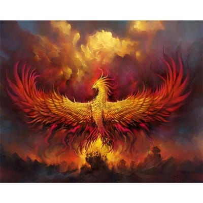 Diamant schilderij diamant borduurwerk Fire Phoenix foto van strass steentjes mozaïek tekeningen dier 50X70CM