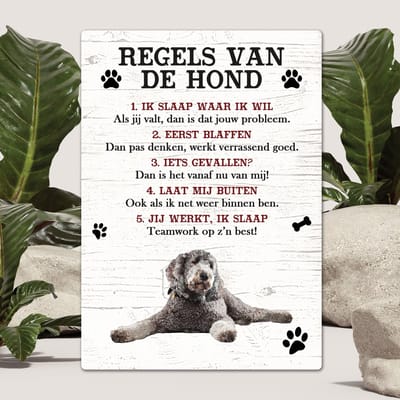 Spreuken - Labradoodle grijs - Regels Van De Hond - Spreuken Bordjes - Spreukenbord - Tekstborden - Cadeau - Hondenras