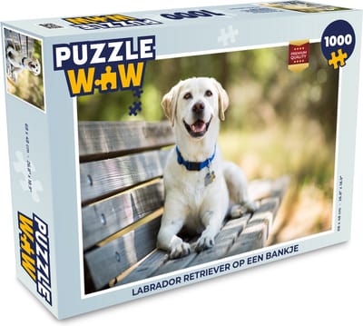 Puzzel Labrador Retriever op een bankje - Legpuzzel - Puzzel 1000 stukjes volwassenen