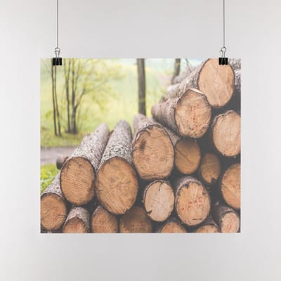Poster Hout, A0, Sunaps posterpapier