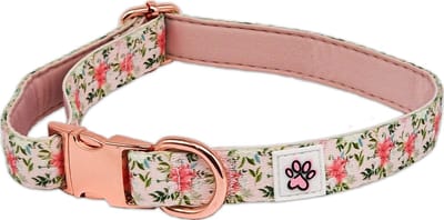 Halsband Hond - Zachte Honden Halsband - Roze - Bloemen - Rozen - You are Llamazing - Paw My God! - Maat L