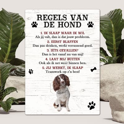 Spreuken - Engelse Springer Spaniel - Regels Van De Hond - Spreuken Bordjes - Spreukenbord - Tekstborden - Cadeau - Hondenras