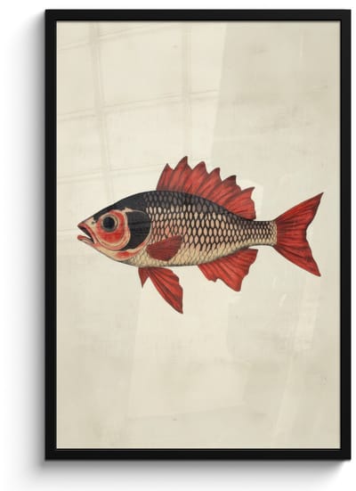 Poster in lijst - Fotolijst 60x90 cm - Posters - Schubben - Rood - Vis - Vinnen - Posterlijst zwart - Decoratie - Wanddecoratie woonkamer - Muurdecoratie slaapkamer