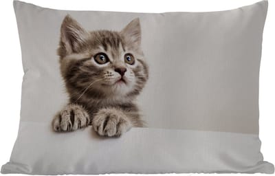 Buitenkussens - Tuin - Poes - Grijs - Dieren - 50x30 cm