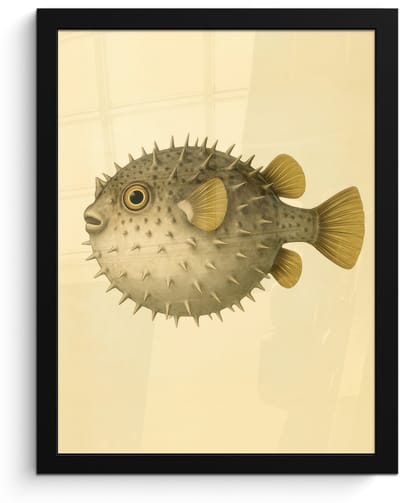 Poster in lijst - Fotolijst 30x40 cm - Posters - Stekels - Vis - Opgeblazen - Bruin - Posterlijst zwart - Decoratie - Wanddecoratie woonkamer - Muurdecoratie slaapkamer