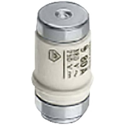 Siemens Neozed zekering gl maat d03 80a 5se2280