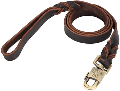 Hondenkraag Zacht Leer - Hondenriem 150 cm - Voor Grote/Middelgrote Honden - Schokbestendig - Milieuvriendelijk - Comfortabel en Stevig
