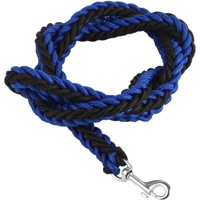 Hondenriem Zwaar Uitgevoerd Verdikt Bijtbestendig Nylon Huisdier Treklijn voor Middelgrote Hond Uitlaten M black
