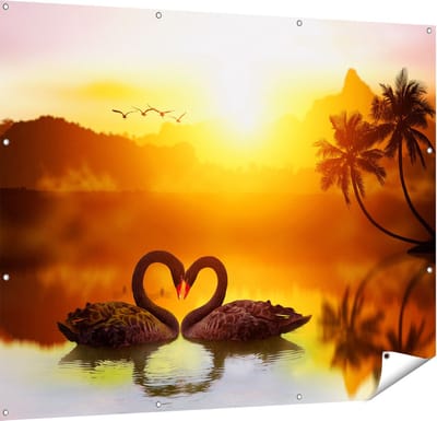 Gards Tuinposter Twee Zwarte Zwanen in een Hart Vorm - 150x120 cm - Tuindoek - Tuindecoratie - Wanddecoratie buiten - Tuinschilderij