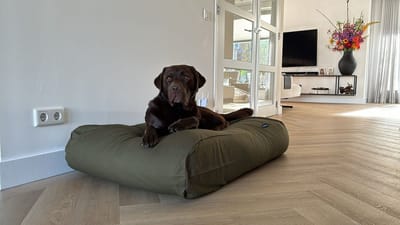 Dog's Companion Hondenkussen / Hondenbed - XS - 55 x 45 cm - Hunting Canvas/Katoen