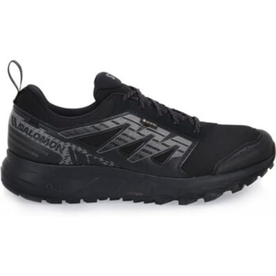 Hardloopschoenen Salomon Wander Gtx W