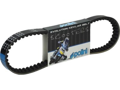 Courroie de transmission Polini pour Scooter Derbi 50 GP1 2001 à 2003 248.044 / 739x18.5x8mm x 28 Neuf