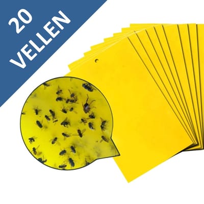 Fruitvliegjes vanger - Rouwvliegjes bestrijden - 20 vellen - Vliegenvanger - 15 x 20 cm vellen