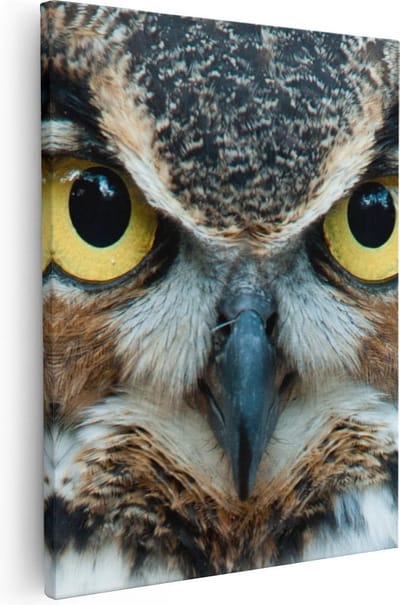 Artaza Canvas Schilderij Dierenkop Uil - 40x50 cm - Wanddecoratie Woonkamer - Muurdecoratie Vogel - Kamer Accessoires