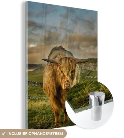 MuchoWow® Glasschilderij 120x160 cm - Schilderij acrylglas - Schotse Hooglander - Gras - Berg - Foto op glas - Schilderijen