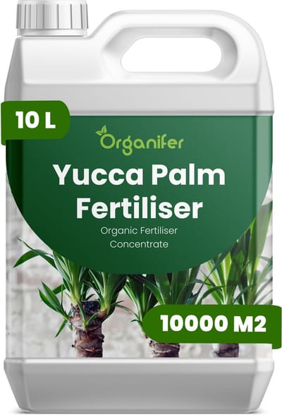 Vloeibare Meststof Voor Yucca Palmen - 10 L Voor 10000 M2 - Npk 2-1-8 - Geschikt Voor Yucca-Palmen In Pot En In De Tuin - Versterkt De Wortels - Helpt De Compacte - Architecturale Plantvorm Te Behouden - Ontwikkeld Voor Regelmatig - Organifer